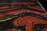Polished Tiger Iron Stromatolite - ( Billion Years) #65334-1
